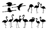 Flamingo standing and flying cute pale pink and black clipart