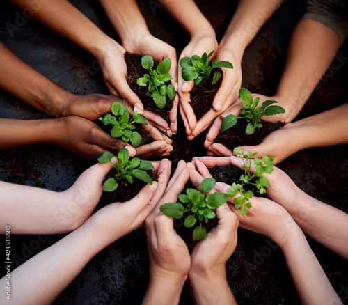 Dont grow apart, grow together. Cropped shot of a group of people holding plants growing out of soil. photo