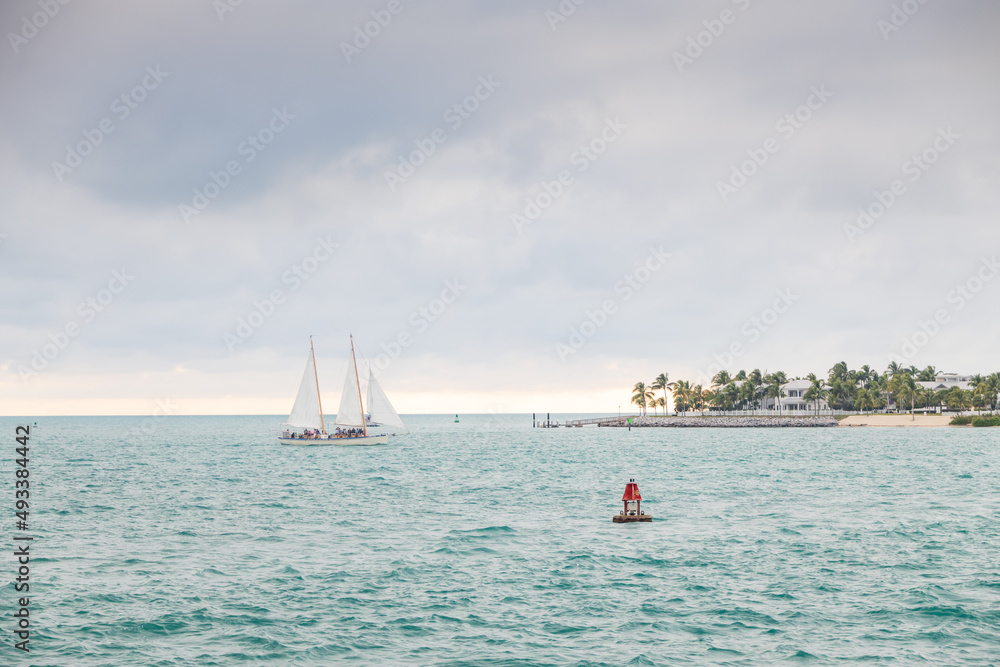 Naklejka premium Catamaran in the bay