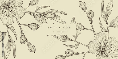 Tropical Plant Illustration