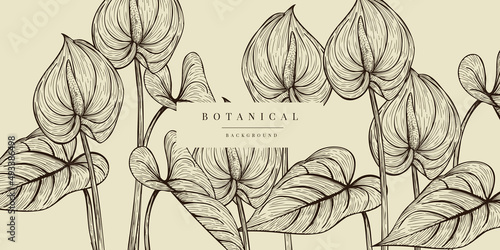 Tropical Plant Illustration