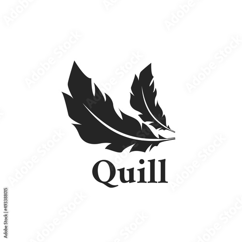 Two feather silhouette logo design, abstract feather element template vector illustration