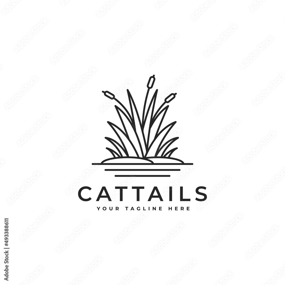 cattail grass in line style, cattail logo line art logo design inspiration, reed icon - obrazy, fototapety, plakaty 