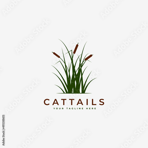 reed logo vector illustration design, cattail grass logo design inspiration