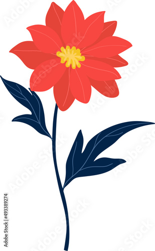 Red and yellow flower with green leaves illustration. 