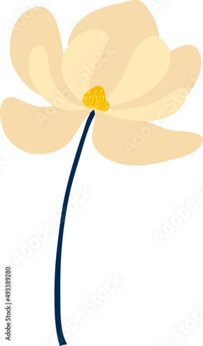 Orange and yellow flower illustration .