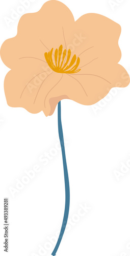 Orange and yellow flower illustration.