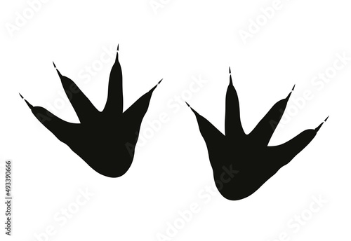 Crocodile foot print with nails. Wild animal paw trace