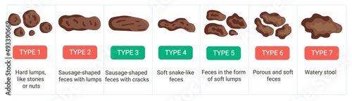 Bristol stool chart with descriptio. Vector medical scale