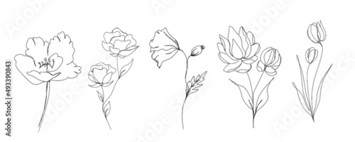 Big set of flowers continuous line drawing. One line art. minimalism sketch, idea for invitation, design of instagram stories and highlights icons