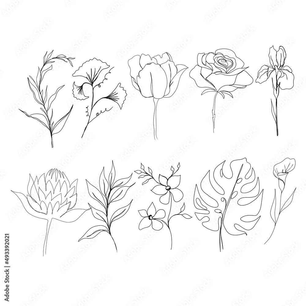 large set of plants and flowers line art. big set of line art of flowers and plants .minimalism sketch, idea for invitation, design of instagram stories and highlights icons