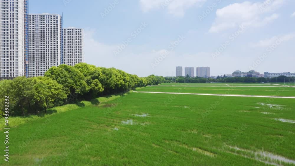 aerial view of high buildings in new residential district in hangzhou
aerial view of high buildings in new residential district in hangzhou