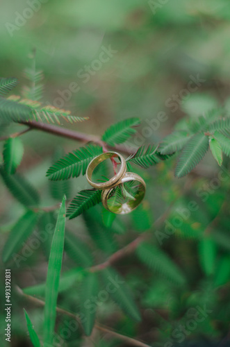wedding rings on the grass