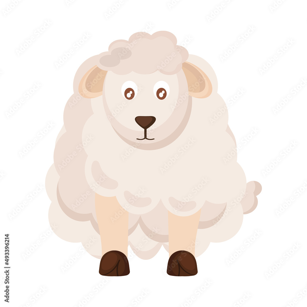 cute sheep animal cute sheep animal