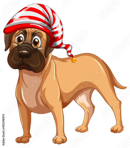Boxer dog wearing Christmas hat