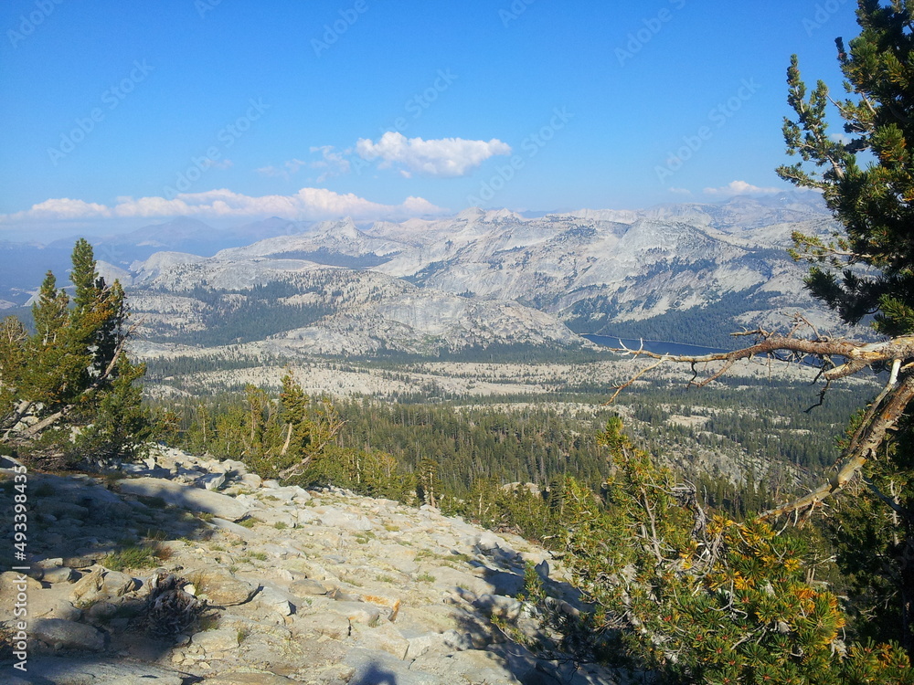 Tuolumne Meadows and the high Sierra from Mt Hoffman trail Tuolumne Meadows and the high Sierra from Mt Hoffman trail