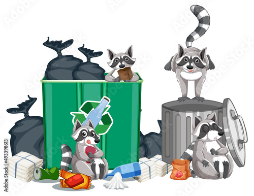 Four raccoons eating food from trash