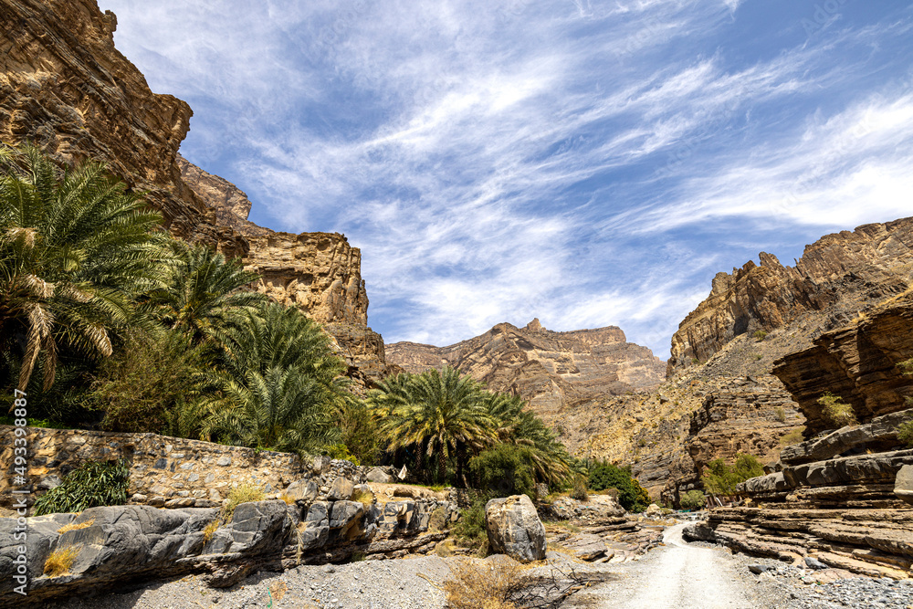 Fototapeta premium Wadi Tiwi Oman