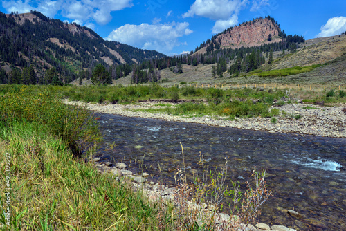 The Hoback River flows through the Kozy Campground in the Bridger-Teton National Forest, Wyoming, USA photo