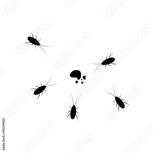 Cockroach icon template vector © abdul