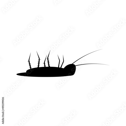 Cockroach icon template vector