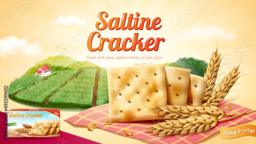 Saltine crackers ad template photo