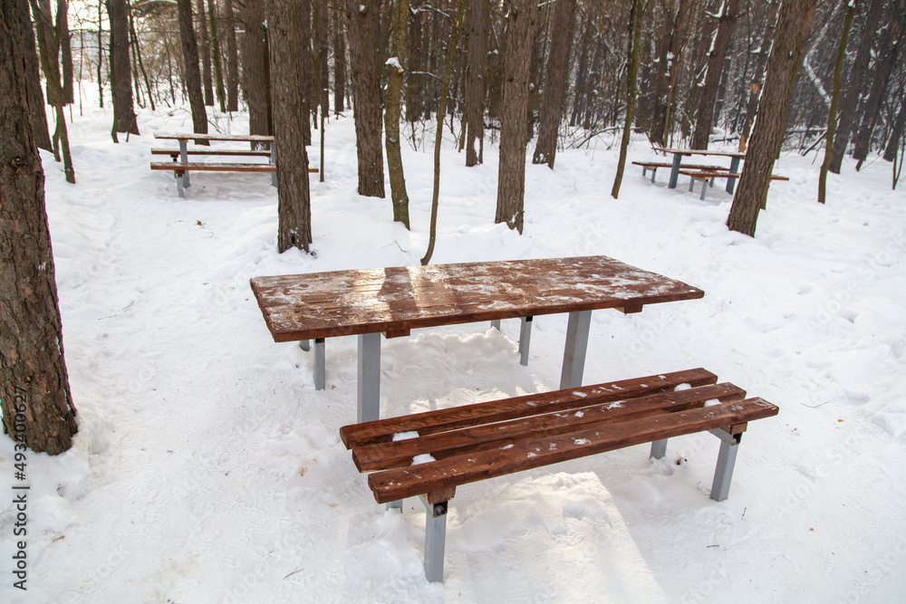 Became and benches in the forest in the snow.