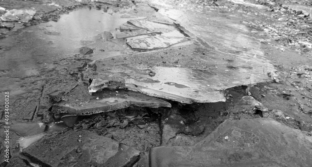 Fototapeta premium Cracked ice in a puddle.