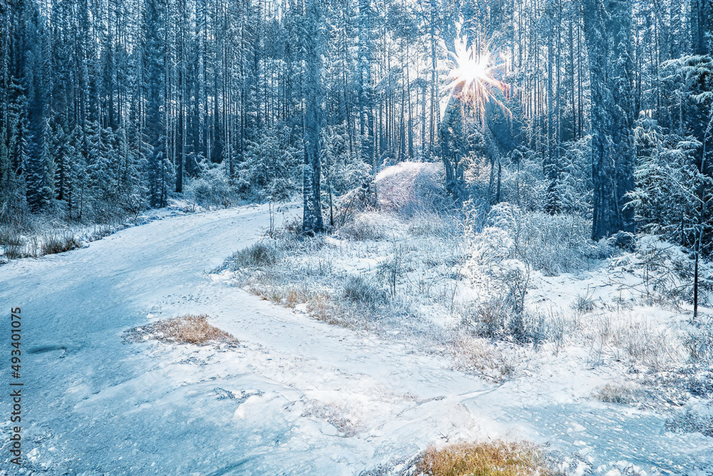 Sunset in frozen snowy forest. Sunset in frozen snowy forest.