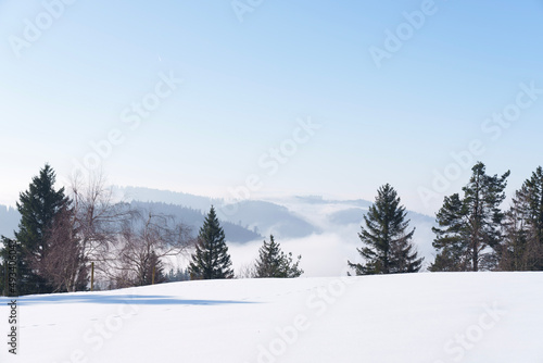 snow covered trees © Unifire