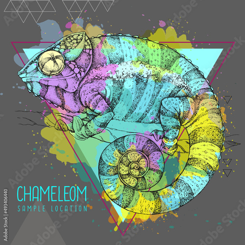 Hand drawing chameleon illustration on watercolor background. Graphic art. Vector illustration