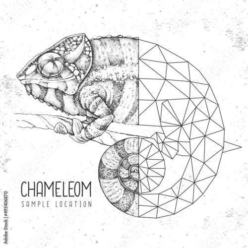 Obraz Realistic and polygonal chameleon illustration. Triangle animal vector illustration