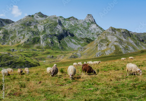 Escapada rural