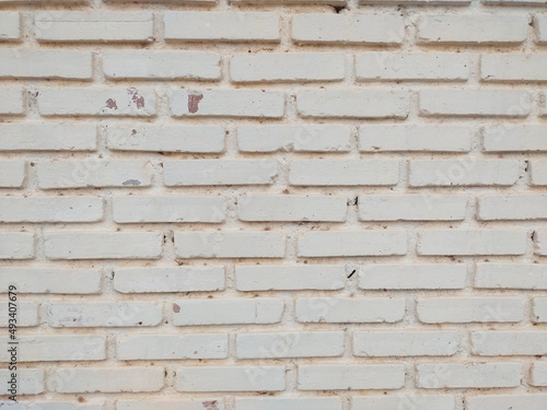  a beautiful white brick wall to serve as a background.
