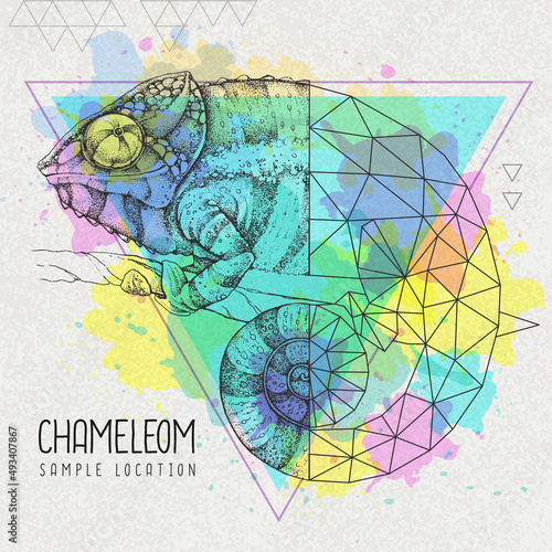 Realistic and polygonal chameleon illustration on artistic watercolor background. Triangle animal vector illustration