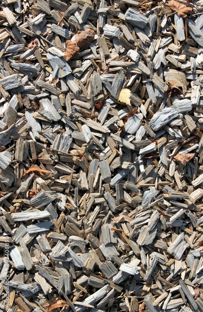 a pile of wood chips unsorted outside on a playground a pile of wood chips unsorted outside on a playground