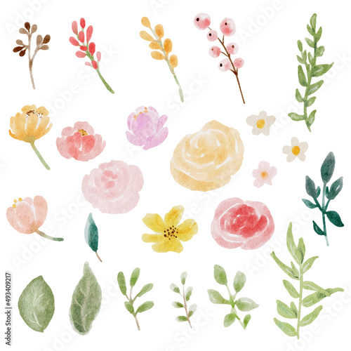 loose watercolor colorful roses and wild flowers bouquet elements isolated on white backgound digital painting