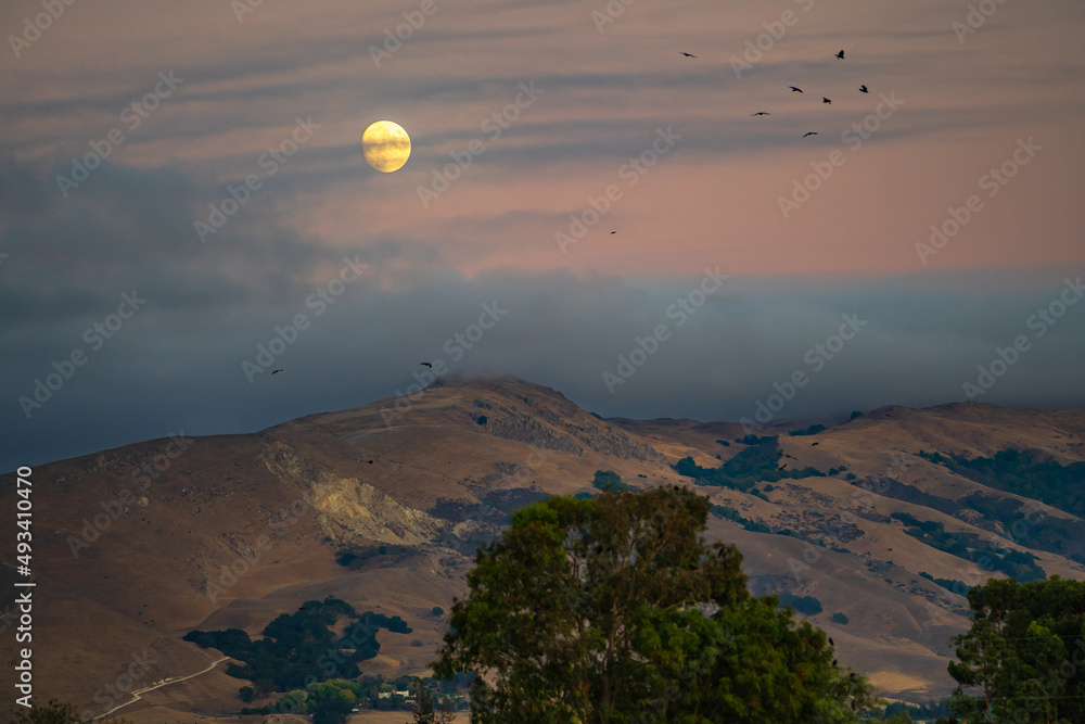 View of Mission Peak in the evening, Fremont Central Park