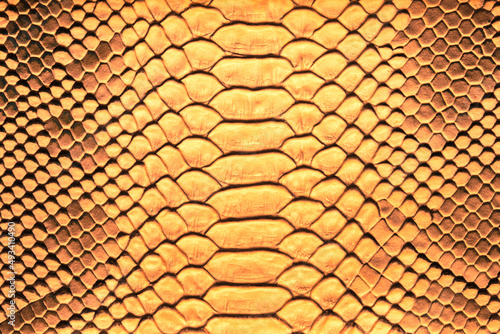 Beautiful yellow bright python skin, reptile skin texture, multicolored close-up as a background.