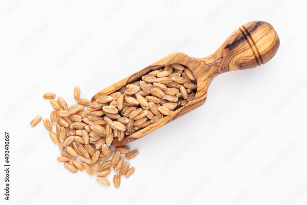 Scoop with wheat grains and spikelets on white background. Scoop with wheat grains and spikelets on white background.
