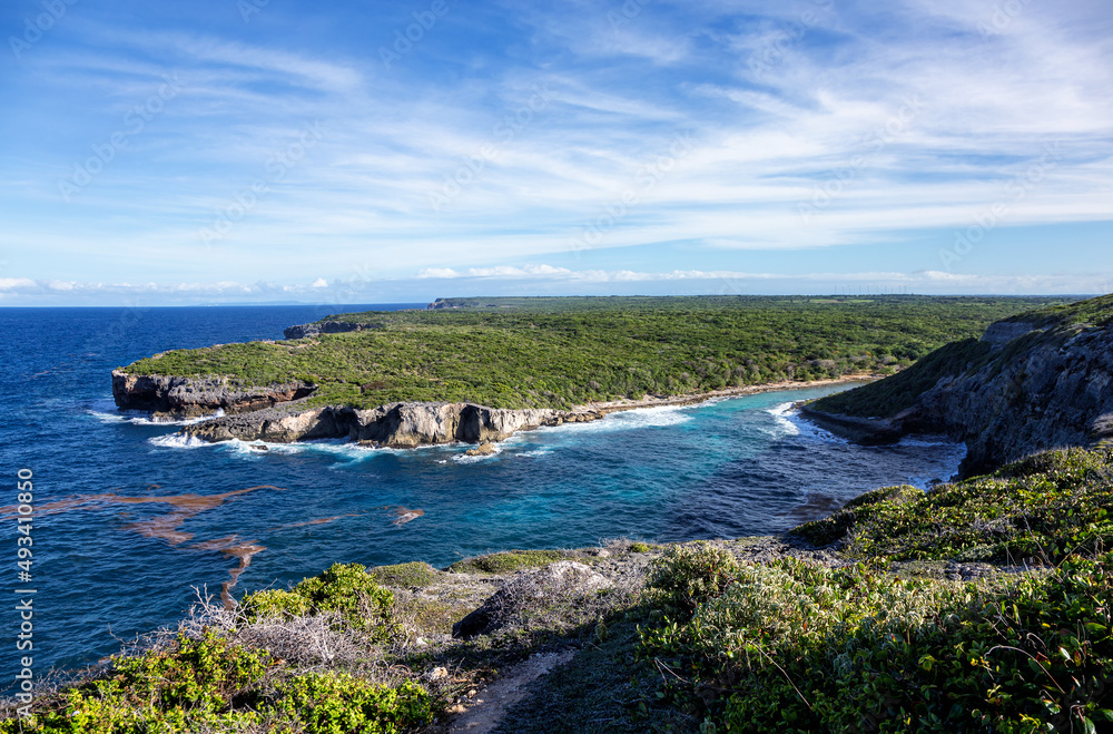 Pointe du Piton, north coast, Grande-Terre, Guadeloupe, Lesser Antilles, Caribbean.