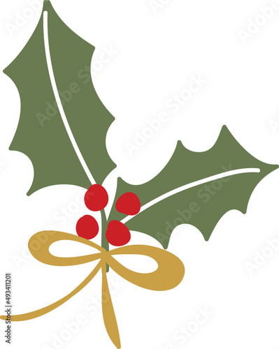 Cute red christmas holly plant illustration.