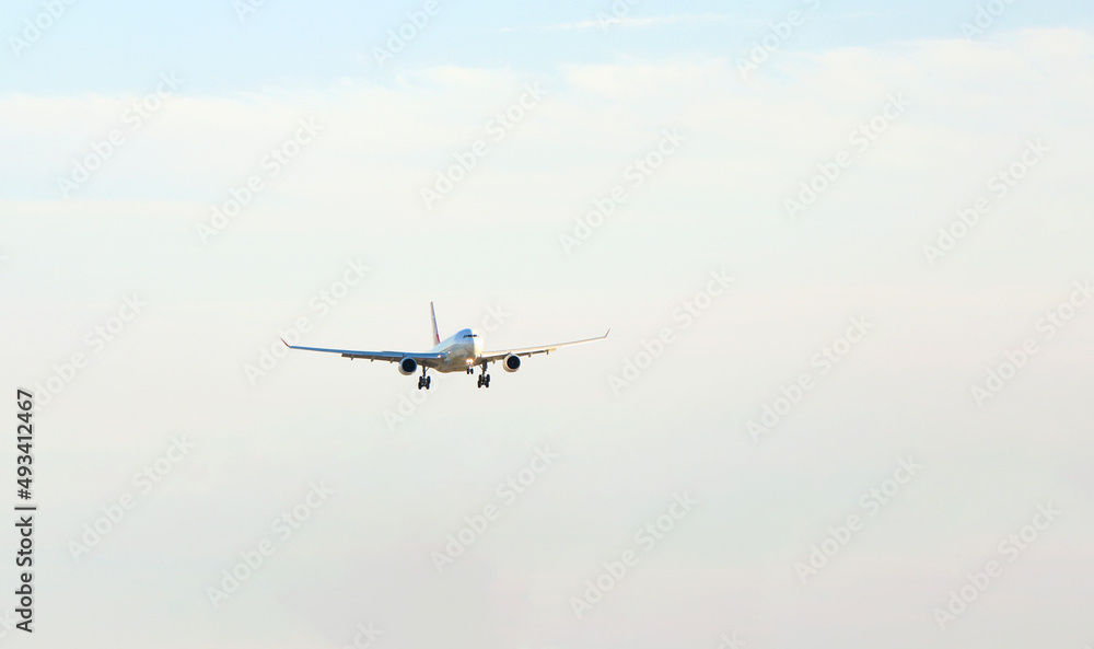 Passenger plane over the forest in the blue sky, the sun is shining. Transport, travel. High quality photo Passenger plane over the forest in the blue sky, the sun is shining. Transport, travel. High quality photo