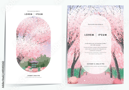 Vector editorial design frame set of Korean spring scenery with cherry trees in full bloom. Design for social media, party invitation, Frame Clip Art and Business Advertisement