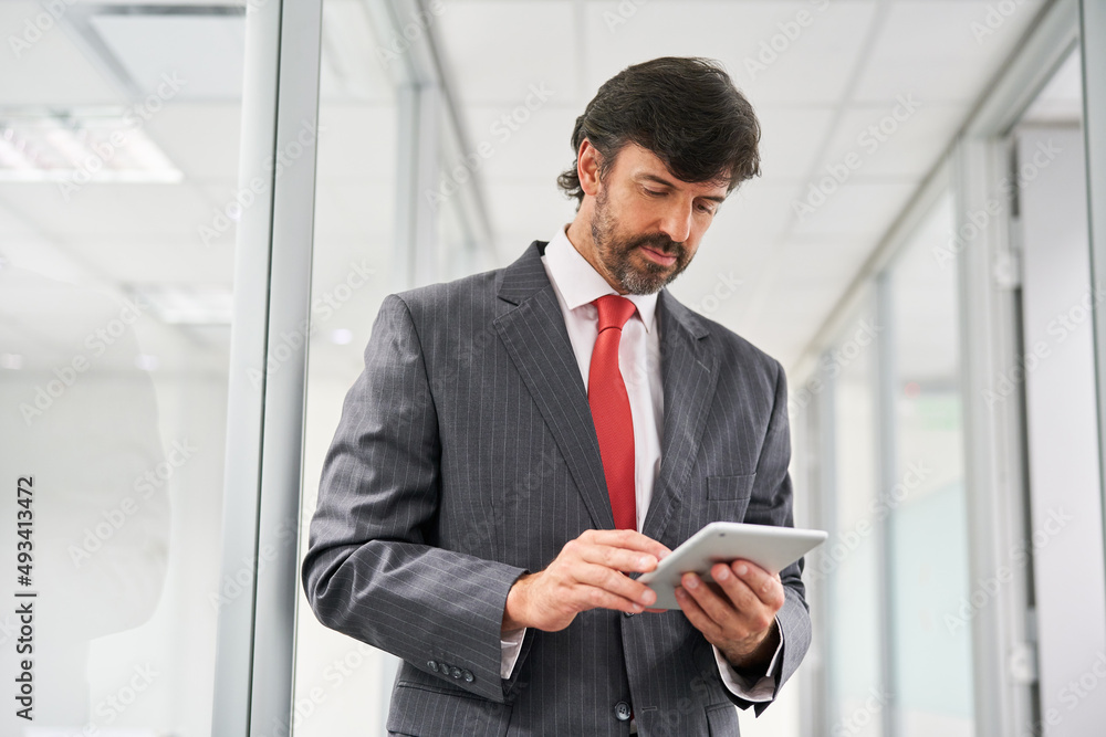 Fototapeta premium Manager or consultant using tablet computer in the office