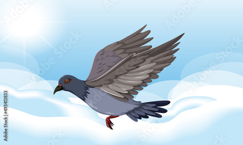 Rock dove bird flying in the sky