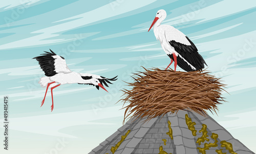 A pair of storks near the nest on the roof of an old building. Blue summer sky. realistic vector landscape