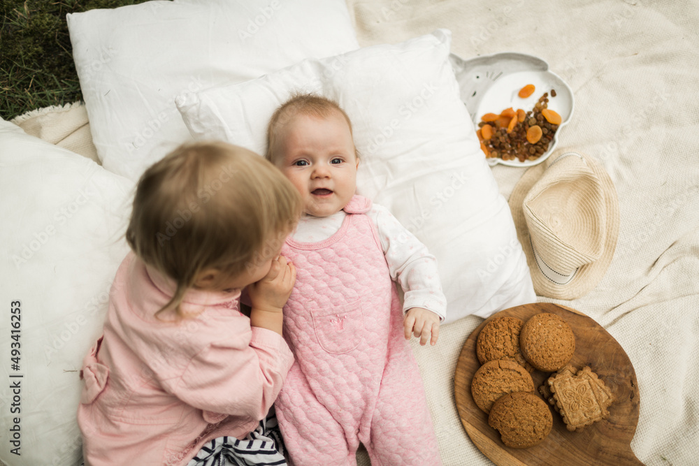 two little sisters play on the picnic