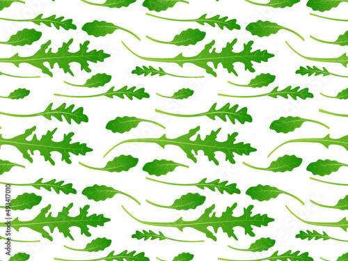 Arugula leaves seamless pattern. Vector background of rucola.