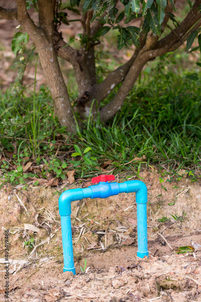 Water valve connect to PVC pipe. valve for agriculture PVC water pipes. Plastic hose and valve of sprinkler system in a garden.